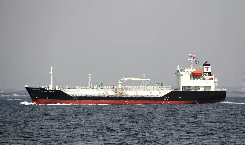 CRANE VEGA General Cargo IMO 9699608 photo 2