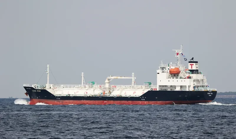 CRANE VEGA General Cargo IMO 9699608 photo 3