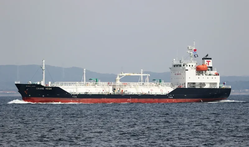 CRANE VEGA General Cargo IMO 9699608 photo 4