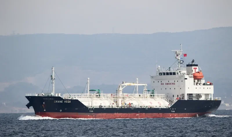 CRANE VEGA General Cargo IMO 9699608 photo 5