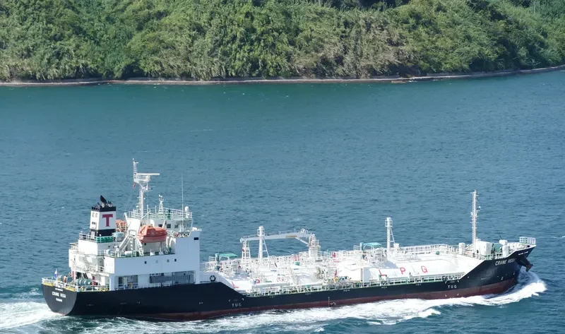 CRANE VEGA General Cargo IMO 9699608 photo 6