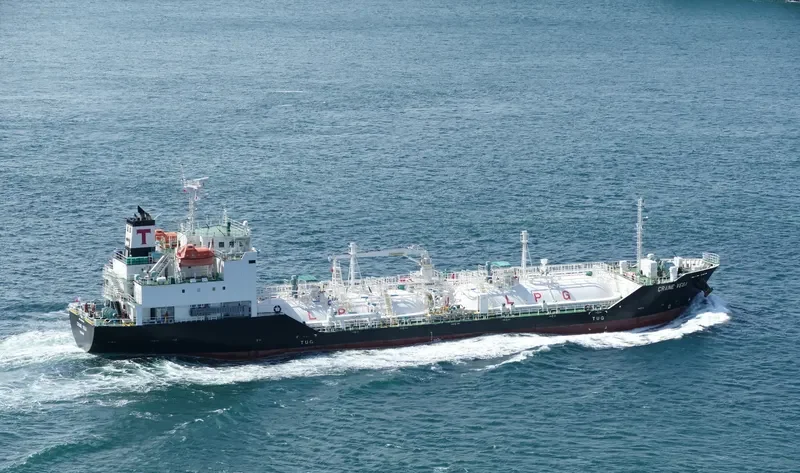 CRANE VEGA General Cargo IMO 9699608 photo 7