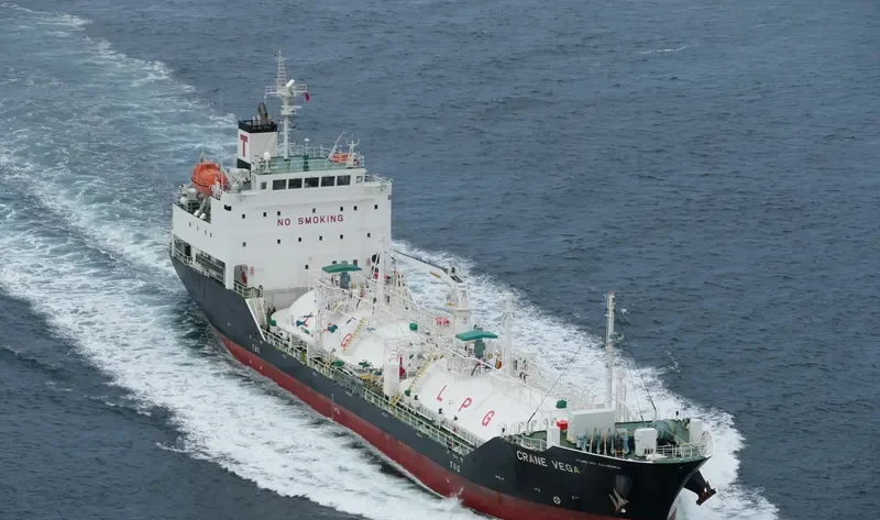 CRANE VEGA General Cargo IMO 9699608 photo 9