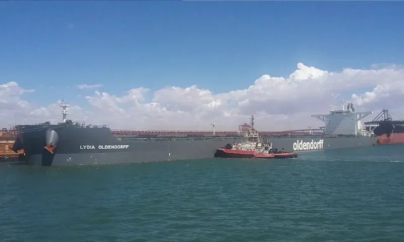 LYDIA OLDENDORFF Bulk Carrier IMO 9699634 photo 3