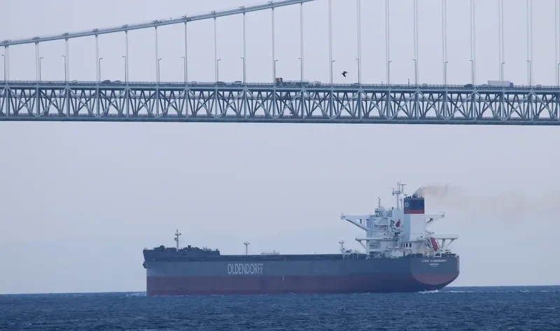 LYDIA OLDENDORFF Bulk Carrier IMO 9699634 photo 6
