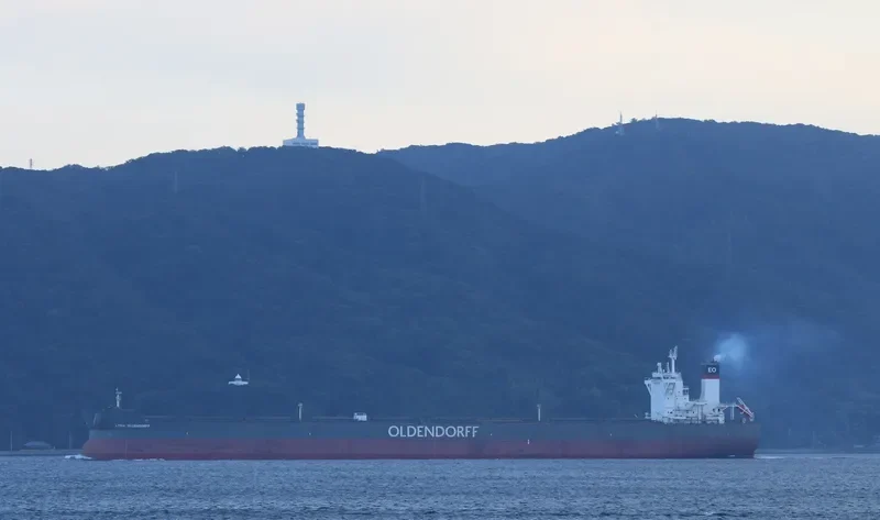 LYDIA OLDENDORFF Bulk Carrier IMO 9699634 photo 7