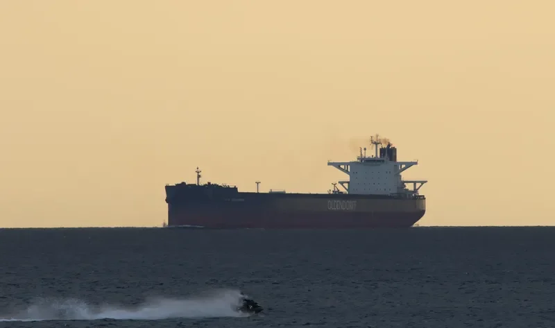 LYDIA OLDENDORFF Bulk Carrier IMO 9699634 photo 8
