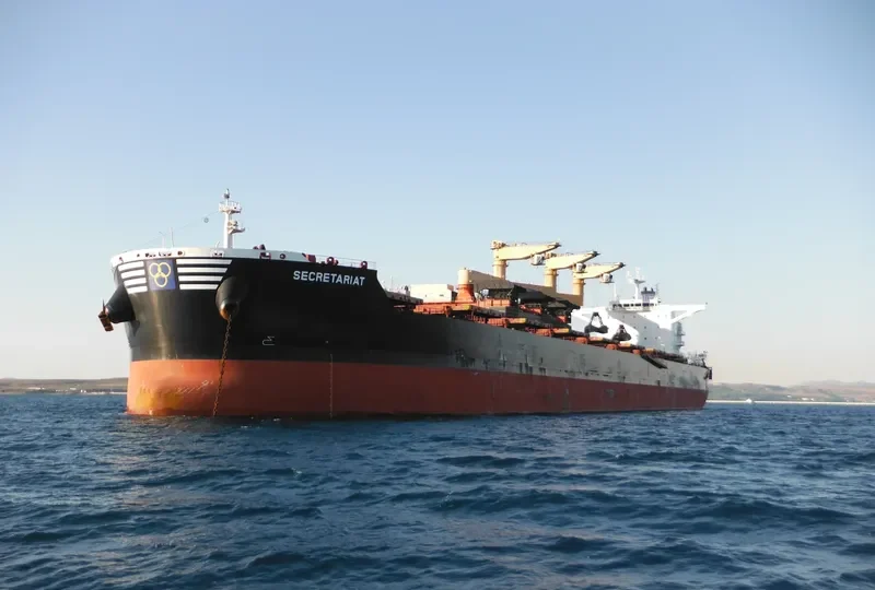 SECRETARIAT Bulk Carrier IMO 9699701 photo 2