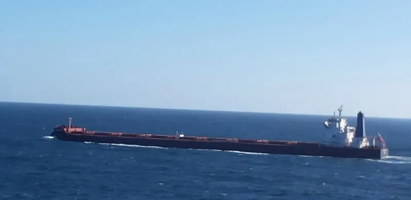 SECRETARIAT Bulk Carrier IMO 9699701 photo 5