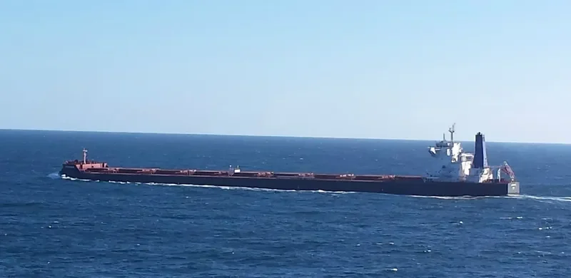 SECRETARIAT Bulk Carrier IMO 9699701 photo 6