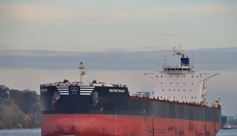 SECRETARIAT Bulk Carrier IMO 9699701 photo 9