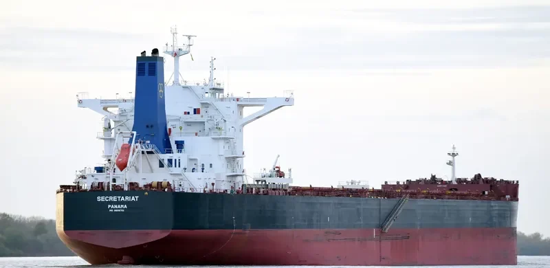 SECRETARIAT Bulk Carrier IMO 9699701 photo 10