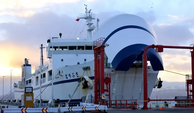 HAYABUSA Ro-Ro IMO 9699763 photo 3