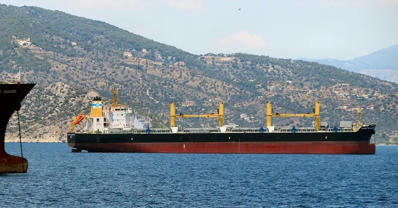 DESERT CHALLENGER Bulk Carrier IMO 9699842 photo 3