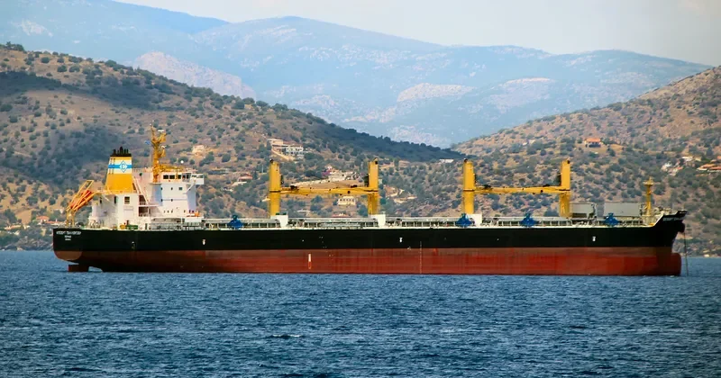 DESERT CHALLENGER Bulk Carrier IMO 9699842 photo 4