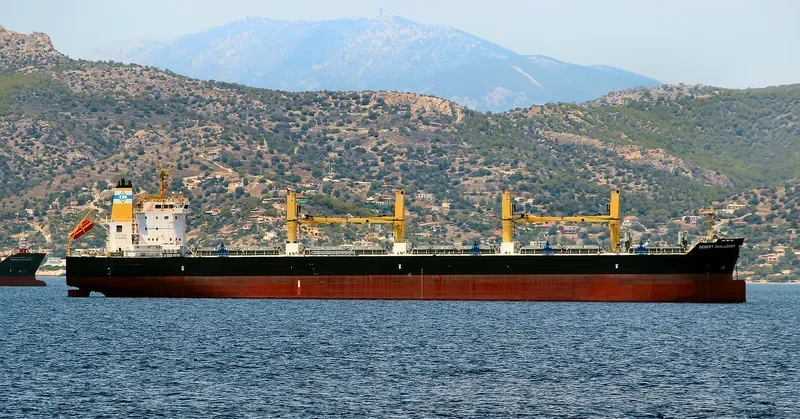 DESERT CHALLENGER Bulk Carrier IMO 9699842 photo 5