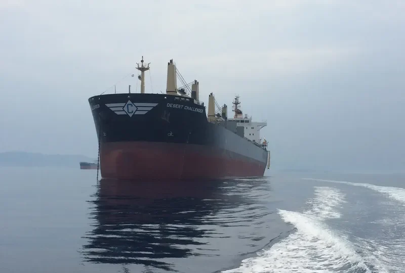 DESERT CHALLENGER Bulk Carrier IMO 9699842 photo 6
