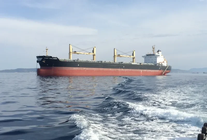 DESERT CHALLENGER Bulk Carrier IMO 9699842 photo 7