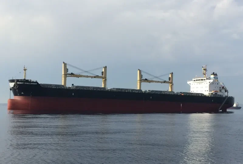 DESERT CHALLENGER Bulk Carrier IMO 9699842 photo 8
