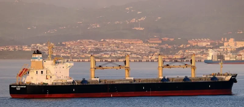 DESERT CHALLENGER Bulk Carrier IMO 9699842 photo 9