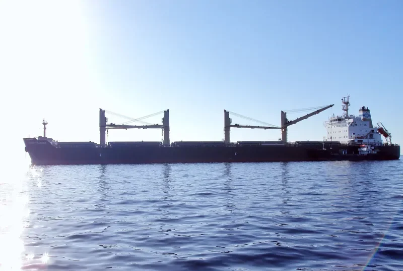 DESERT RANGER Bulk Carrier IMO 9699854