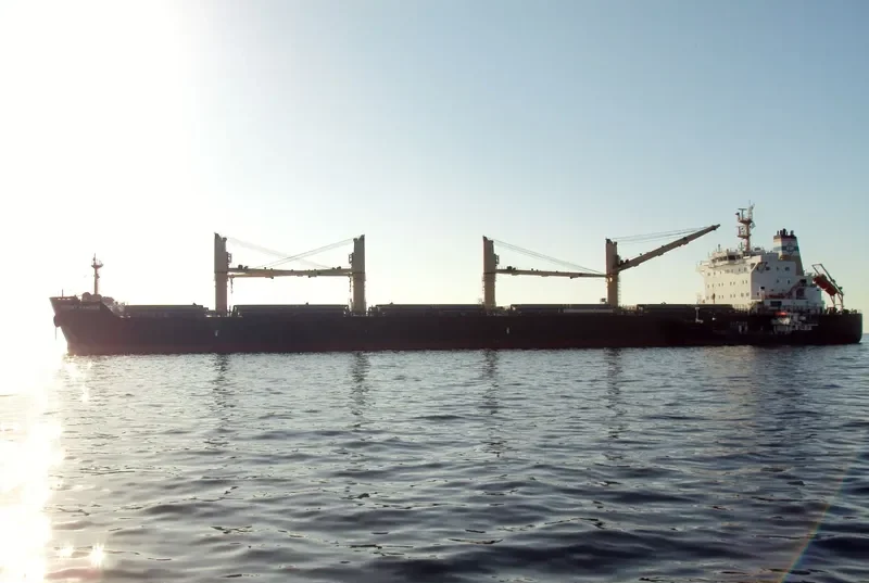 DESERT RANGER Bulk Carrier IMO 9699854 photo 2