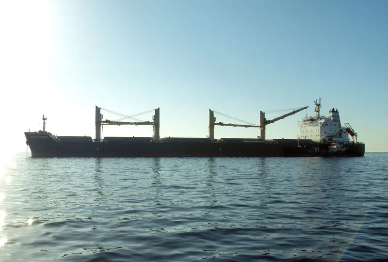 DESERT RANGER Bulk Carrier IMO 9699854 photo 3