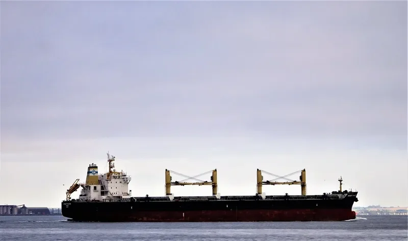 DESERT RANGER Bulk Carrier IMO 9699854 photo 6