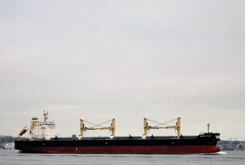 DESERT RANGER Bulk Carrier IMO 9699854 photo 7
