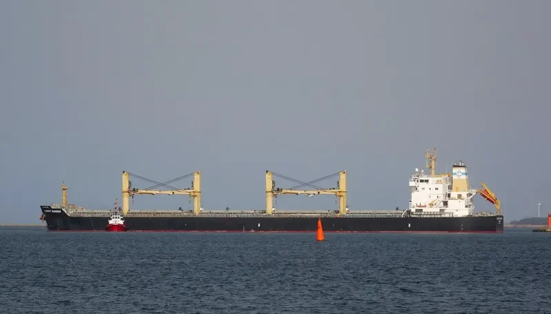 DESERT RANGER Bulk Carrier IMO 9699854 photo 8