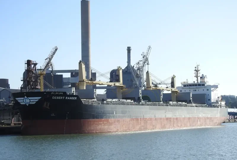 DESERT RANGER Bulk Carrier IMO 9699854 photo 9