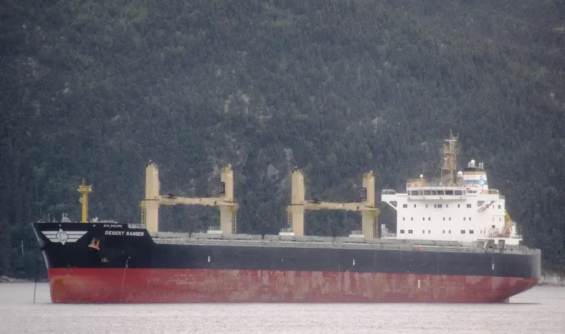 DESERT RANGER Bulk Carrier IMO 9699854 photo 10