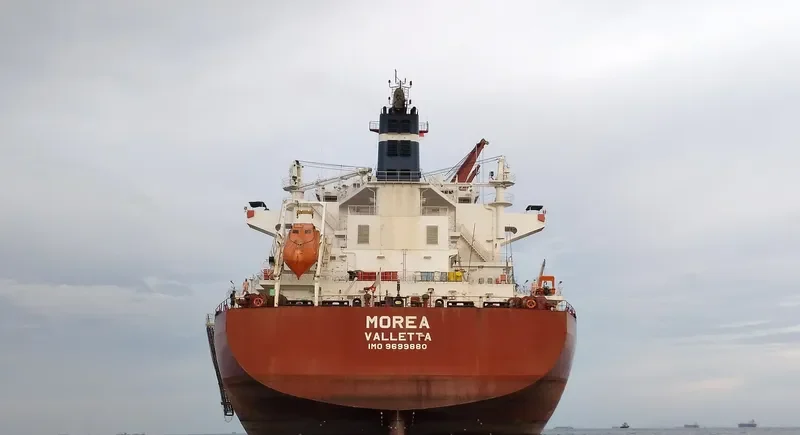 MOREA Bulk Carrier IMO 9699880 photo 3