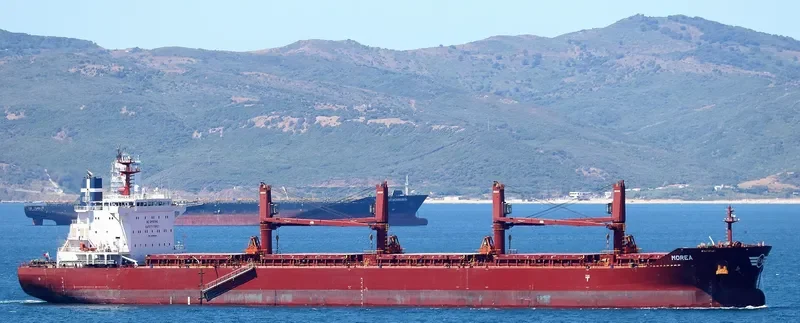 MOREA Bulk Carrier IMO 9699880 photo 7