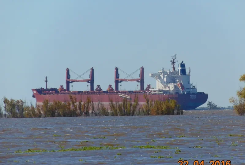 MOREA Bulk Carrier IMO 9699880 photo 9