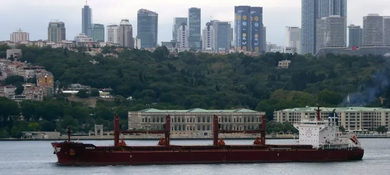 MOREA Bulk Carrier IMO 9699880 photo 10