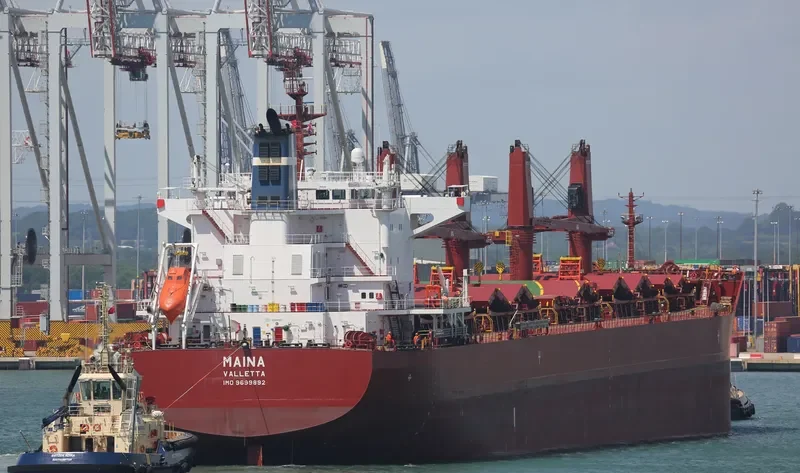 MAINA Bulk Carrier IMO 9699892