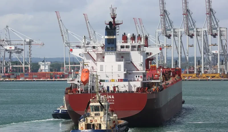MAINA Bulk Carrier IMO 9699892 photo 2