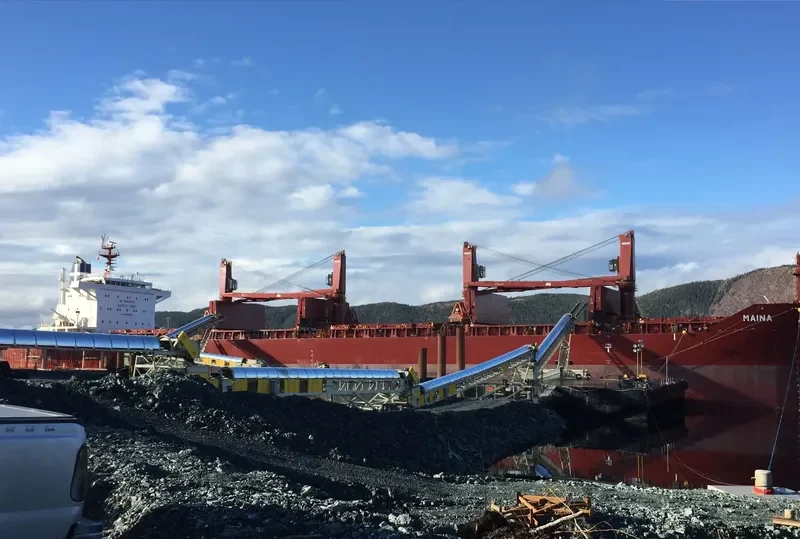 MAINA Bulk Carrier IMO 9699892 photo 3