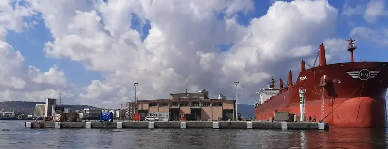 MAINA Bulk Carrier IMO 9699892 photo 5
