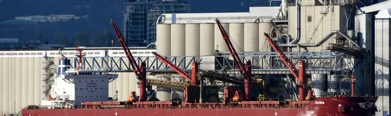 MAINA Bulk Carrier IMO 9699892 photo 6