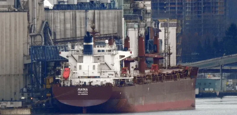MAINA Bulk Carrier IMO 9699892 photo 7