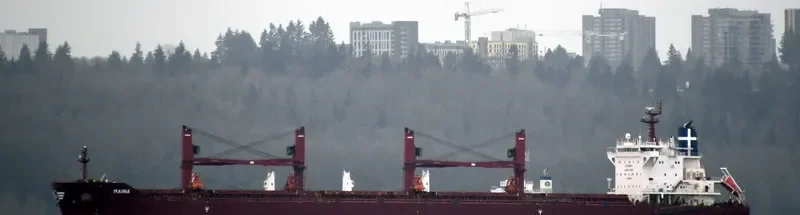 MAINA Bulk Carrier IMO 9699892 photo 8