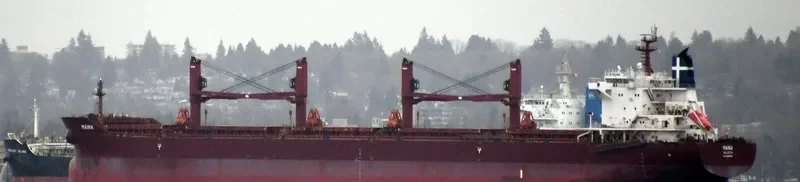 MAINA Bulk Carrier IMO 9699892 photo 9