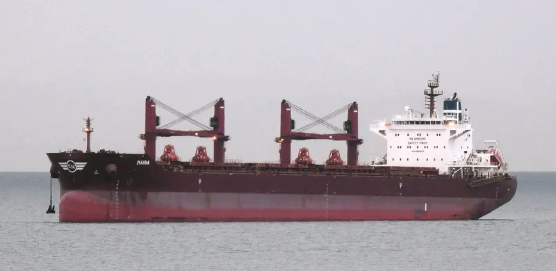 MAINA Bulk Carrier IMO 9699892 photo 10