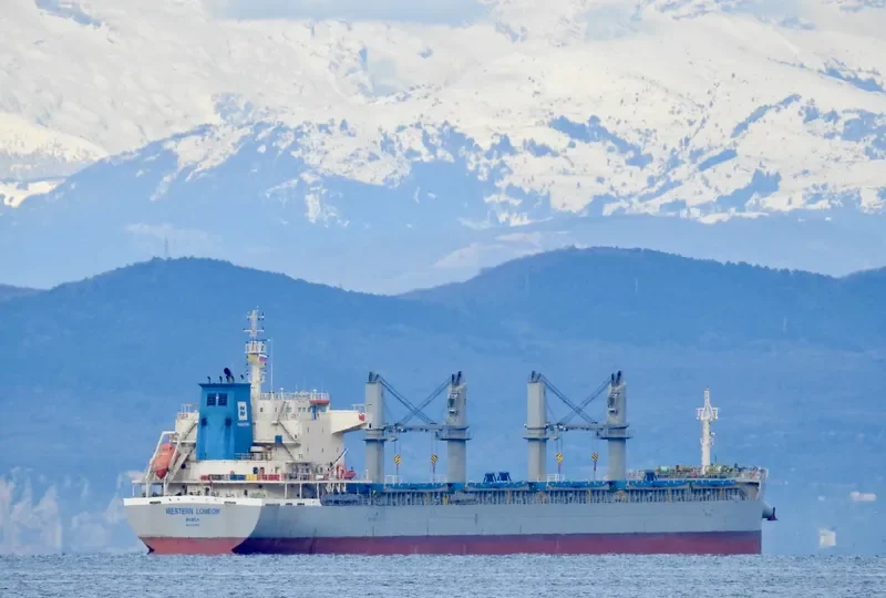 WESTERN LONDON Bulk Carrier IMO 9700005 photo 2