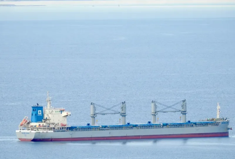 WESTERN LONDON Bulk Carrier IMO 9700005 photo 3
