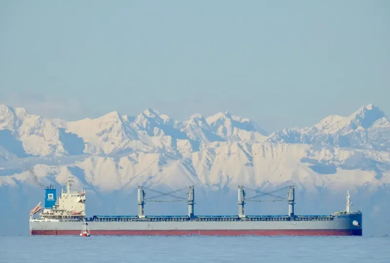 WESTERN LONDON Bulk Carrier IMO 9700005 photo 4