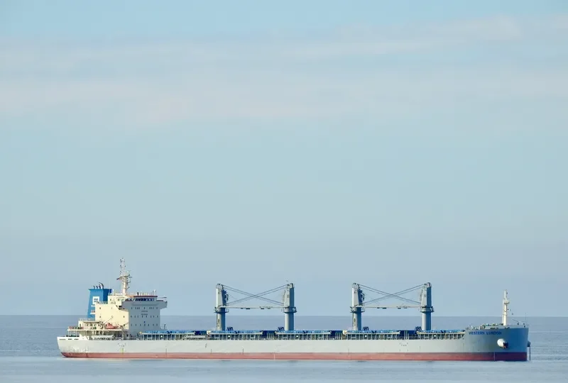 WESTERN LONDON Bulk Carrier IMO 9700005 photo 5