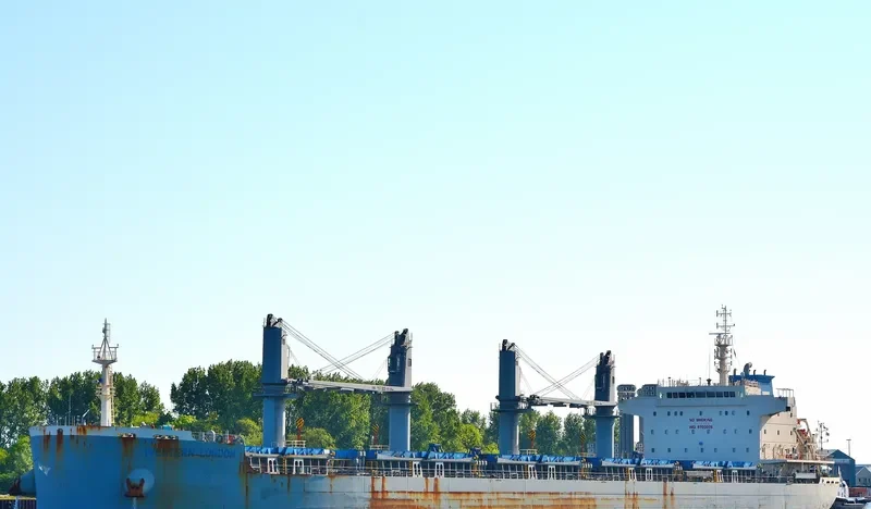 WESTERN LONDON Bulk Carrier IMO 9700005 photo 7